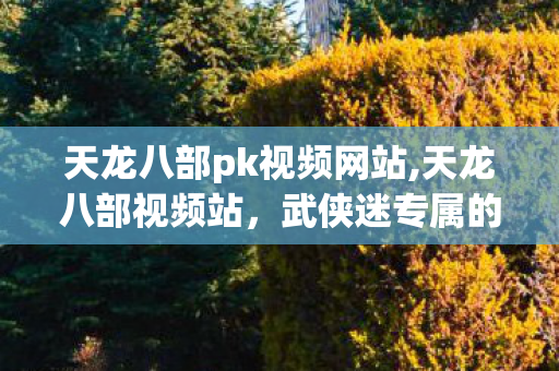 天龙八部pk视频网站,天龙八部视频站，武侠迷专属的江湖情怀自留地