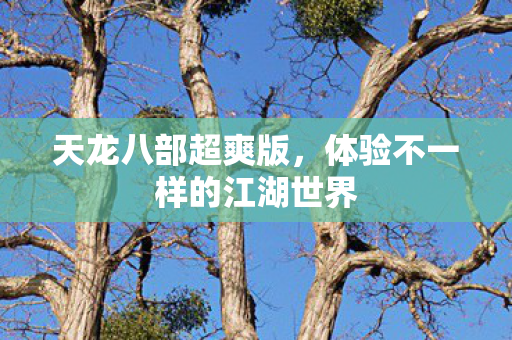 体验不一样的江湖世界图片