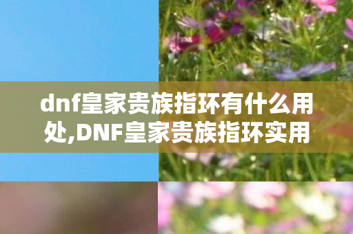 dnf皇家贵族指环有什么用处,DNF皇家贵族指环实用价值盘点，从过渡神器到情怀藏品的多重作用