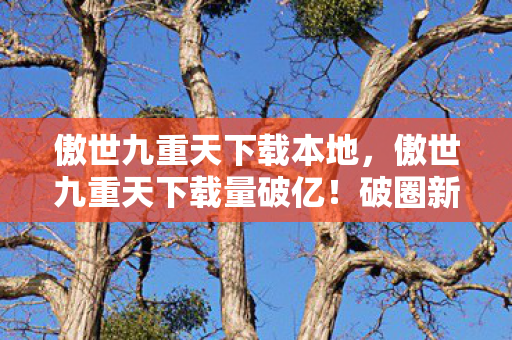 傲世九重天下载本地，傲世九重天下载量破亿！破圈新玩法，意想不到跨界联名来袭