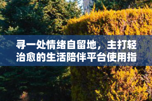 寻一处情绪自留地,主打轻治愈的生活陪伴平台使用指南 寻一处情绪自留地,主打轻治愈的生活陪伴平台使用指南