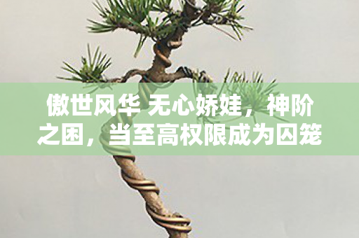 傲世风华 无心娇娃,神阶之困,当至高权限成为囚笼,自由意志在数据洪流中震颤 傲世风华 无心娇娃,神阶之困,当至高权限成为囚笼,自由意志在数据洪流中震颤