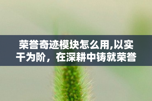 荣誉奇迹模块怎么用,以实干为阶,在深耕中铸就荣誉奇迹 荣誉奇迹模块怎么用,以实干为阶,在深耕中铸就荣誉奇迹