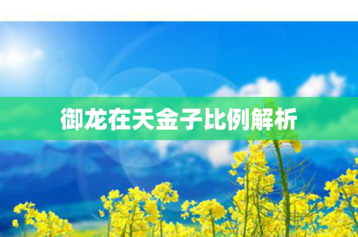 御龙在天金子比例解析图片