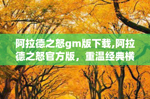 阿拉德之怒gm版下载,阿拉德之怒官方版,重温经典横版动作冒险的正确选择 阿拉德之怒gm版下载,阿拉德之怒官方版,重温经典横版动作冒险的正确选择