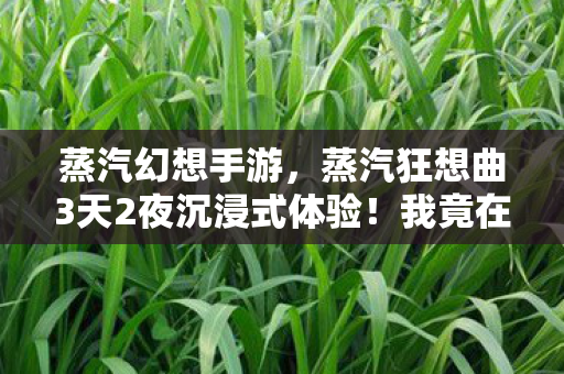 蒸汽幻想手游，蒸汽狂想曲3天2夜沉浸式体验！我竟在机械城邦找到了失落浪漫