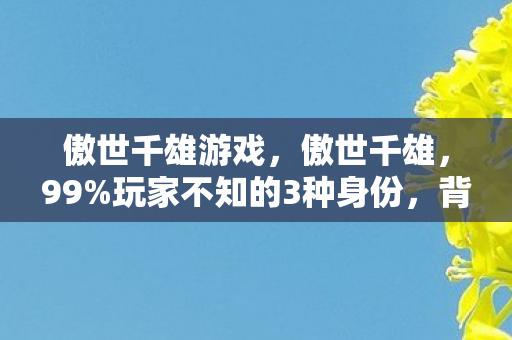 傲世千雄游戏，傲世千雄，99%玩家不知的3种身份，背后藏着多少心酸泪？