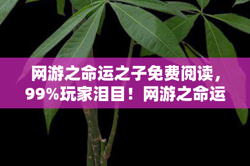 网游之命运之子免费阅读，99%玩家泪目！网游之命运之子3大逆天设定让我重燃热血