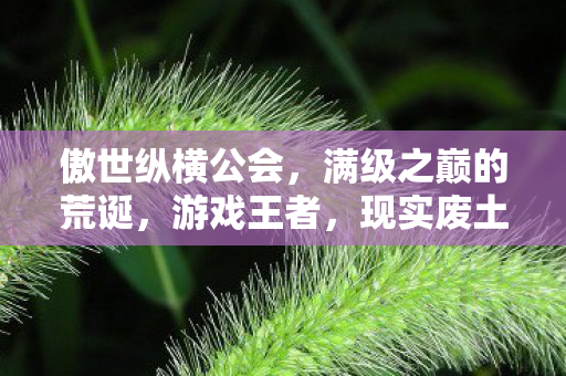 傲世纵横公会，满级之巅的荒诞，游戏王者，现实废土的灵魂悖论