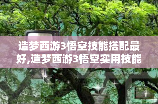 造梦西游3悟空技能搭配最好,造梦西游3悟空实用技能搭配指南 适配全阶段闯关需求 造梦西游3悟空技能搭配最好,造梦西游3悟空实用技能搭配指南 适配全阶段闯关需求