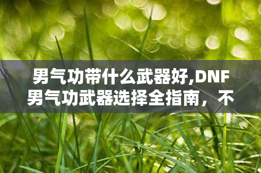男气功带什么武器好,DNF男气功武器选择全指南，不同阶段适配方案一文看懂