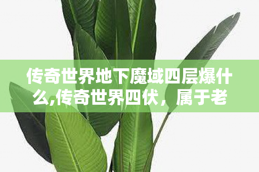 传奇世界地下魔域四层爆什么,传奇世界四伏,属于老玩家的热血情怀自留地 传奇世界地下魔域四层爆什么,传奇世界四伏,属于老玩家的热血情怀自留地