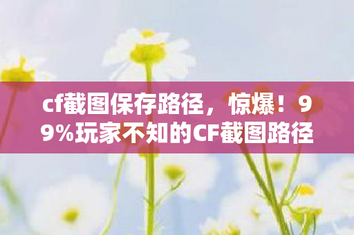 cf截图保存路径，惊爆！99%玩家不知的CF截图路径，藏着啥致命秘密？