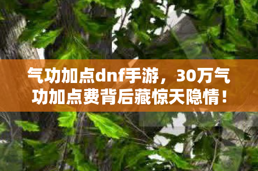 气功加点dnf手游，30万气功加点费背后藏惊天隐情！离职老兵拍桌怒吼，这方案早该枪毙！