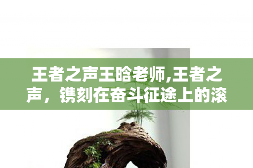 王者之声王晗老师,王者之声,镌刻在奋斗征途上的滚烫回响 王者之声王晗老师,王者之声,镌刻在奋斗征途上的滚烫回响