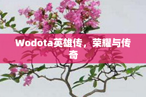 Wodota英雄传图片