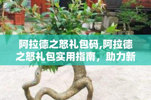 阿拉德之怒礼包码,阿拉德之怒礼包实用指南,助力新手轻松度过开荒期 阿拉德之怒礼包码,阿拉德之怒礼包实用指南,助力新手轻松度过开荒期