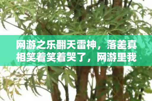 网游之乐翻天雷神,落差真相笑着笑着哭了,网游里我骂遍天下,却骂不醒装睡的心 网游之乐翻天雷神,落差真相笑着笑着哭了,网游里我骂遍天下,却骂不醒装睡的心