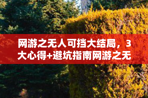 网游之无人可挡大结局，3大心得+避坑指南网游之无人可挡如何从菜鸟到战神？