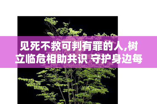 见死不救可判有罪的人,树立临危相助共识 守护身边每一份生命暖意