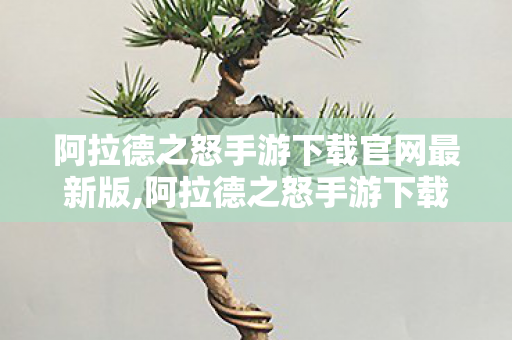 阿拉德之怒手游下载官网最新版,阿拉德之怒手游下载全指南，重温横版动作冒险的热血乐趣