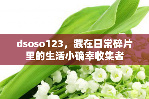 dsoso123,藏在日常碎片里的生活小确幸收集者 dsoso123,藏在日常碎片里的生活小确幸收集者