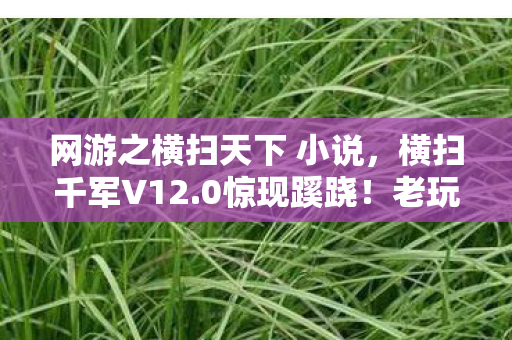 网游之横扫天下 小说,横扫千军V12.0惊现蹊跷!老玩家,这波情怀杀我服了 网游之横扫天下 小说,横扫千军V12.0惊现蹊跷!老玩家,这波情怀杀我服了