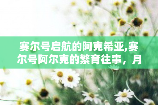 赛尔号启航的阿克希亚,赛尔号阿尔克的繁育往事，月光精灵家族的暖心羁绊