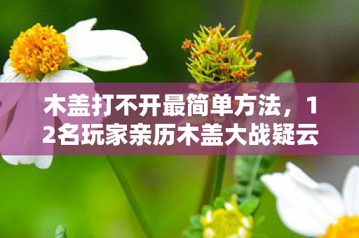 木盖打不开最简单方法，12名玩家亲历木盖大战疑云，这操作是BUG还是官方整活？我当场笑崩！