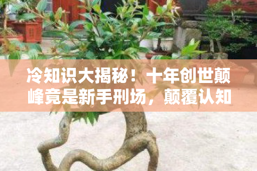 冷知识大揭秘!十年创世颠峰竟是新手刑场,颠覆认知到目瞪口呆 冷知识大揭秘!十年创世颠峰竟是新手刑场,颠覆认知到目瞪口呆