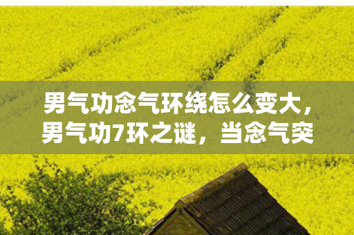 男气功念气环绕怎么变大,男气功7环之谜,当念气突破临界点,我的角色竟开始吞噬装备? 男气功念气环绕怎么变大,男气功7环之谜,当念气突破临界点,我的角色竟开始吞噬装备?