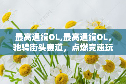 最高通缉OL,最高通缉OL，驰骋街头赛道，点燃竞速玩家的热血青春