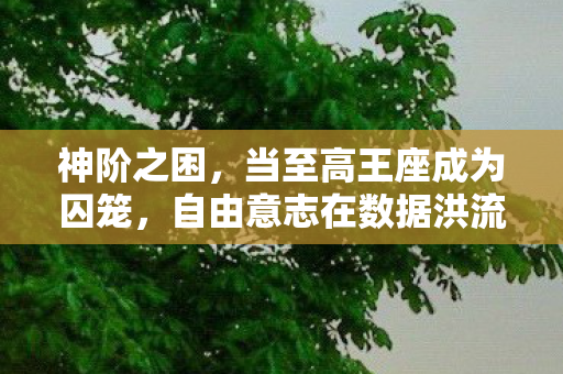 神阶之困，当至高王座成为囚笼，自由意志在数据洪流中如何突围？