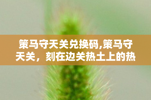 策马守天关兑换码,策马守天关,刻在边关热土上的热血印记 策马守天关兑换码,策马守天关,刻在边关热土上的热血印记
