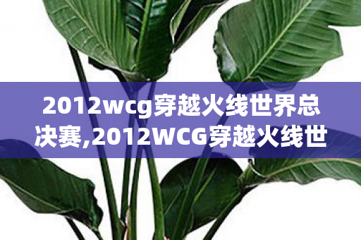2012wcg穿越火线世界总决赛,2012WCG穿越火线世界总决赛,中国FPS电竞的里程碑时刻 2012wcg穿越火线世界总决赛,2012WCG穿越火线世界总决赛,中国FPS电竞的里程碑时刻
