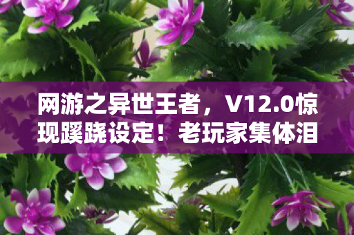 网游之异世王者，V12.0惊现蹊跷设定！老玩家集体泪目