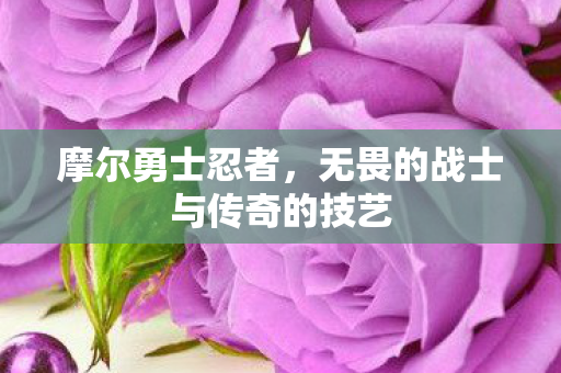 无畏的战士与传奇的技艺图片