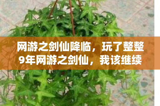网游之剑仙降临，玩了整整9年网游之剑仙，我该继续坚守还是转身离开？