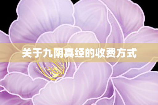 关于九阴真经的收费方式图片