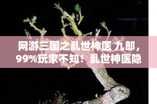 网游三国之乱世神医 九郎，99%玩家不知！乱世神医隐藏暴击率竟暗藏300%伤害玄机