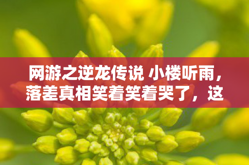 网游之逆龙传说 小楼听雨，落差真相笑着笑着哭了，这破游戏，竟让我骂完又跪着回来！