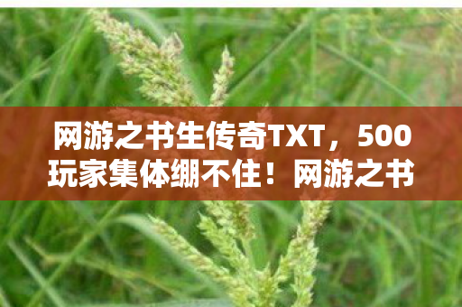 网游之书生传奇TXT,500玩家集体绷不住!网游之书生传奇下载量暴涨背后竟藏着…… 网游之书生传奇TXT,500玩家集体绷不住!网游之书生传奇下载量暴涨背后竟藏着……