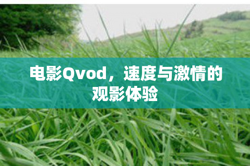 速度与激情的观影体验图片