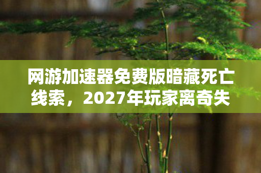 网游加速器免费版暗藏死亡线索，2027年玩家离奇失踪悬案背后的毛骨悚然真相