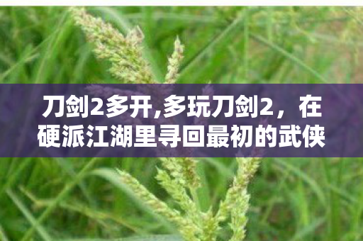 刀剑2多开,多玩刀剑2,在硬派江湖里寻回最初的武侠感动 刀剑2多开,多玩刀剑2,在硬派江湖里寻回最初的武侠感动
