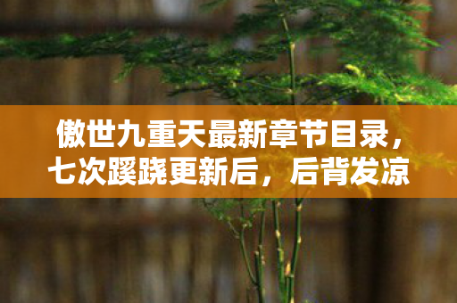 傲世九重天最新章节目录,七次蹊跷更新后,后背发凉,我竟是傲世九重天最蠢的棋子? 傲世九重天最新章节目录,七次蹊跷更新后,后背发凉,我竟是傲世九重天最蠢的棋子?