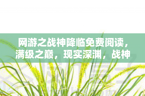 网游之战神降临免费阅读，满级之巅，现实深渊，战神在虚拟与现实的悖论中灵魂震颤