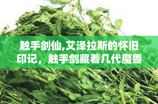 触手剑仙,艾泽拉斯的怀旧印记,触手剑藏着几代魔兽玩家的热血青春 触手剑仙,艾泽拉斯的怀旧印记,触手剑藏着几代魔兽玩家的热血青春