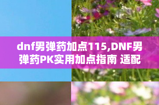 dnf男弹药加点115,DNF男弹药PK实用加点指南 适配当前版本实战向思路解析
