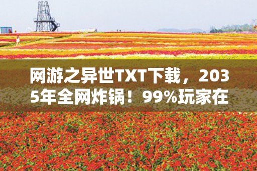 网游之异世TXT下载,2035年全网炸锅!99%玩家在异世里哭到窒息的真相 网游之异世TXT下载,2035年全网炸锅!99%玩家在异世里哭到窒息的真相